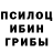 Псилоцибиновые грибы мицелий Monae R.