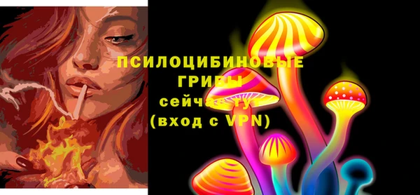 дмт Аркадак