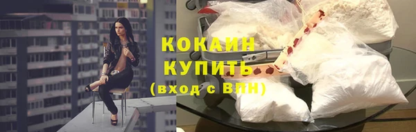 трава Арсеньев