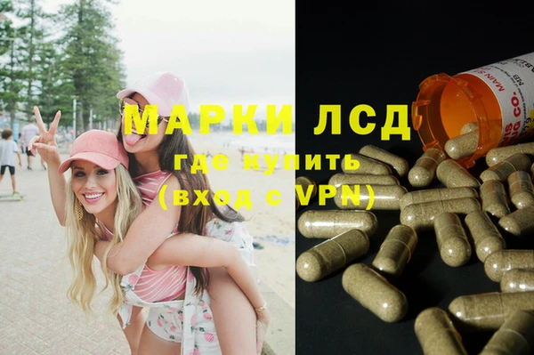 трава Арсеньев