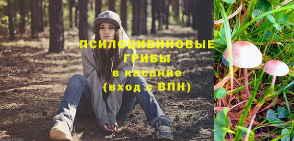 трава Арсеньев