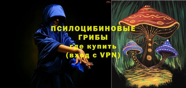 дмт Аркадак
